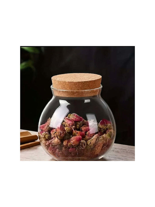 SteweHome Glass White Tea Coffee Vase with Cork and Stand