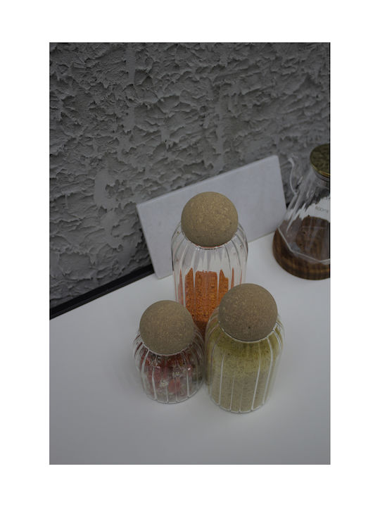 SteweHome Set of 3 General Use Glass Jars with Cork 1000ml