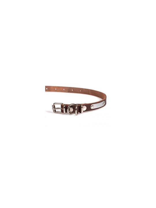 Guler Pentru Câini Piele De Ulei 3x73cm Culoare Maro Mărime XL-N