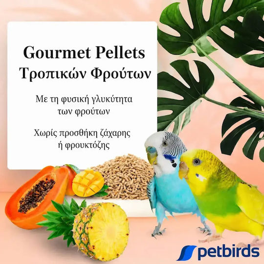 Lafeber Tropical Fruit Gourmet Pellets Parakeet Pellets Fruit Budgerigars 556g 567g