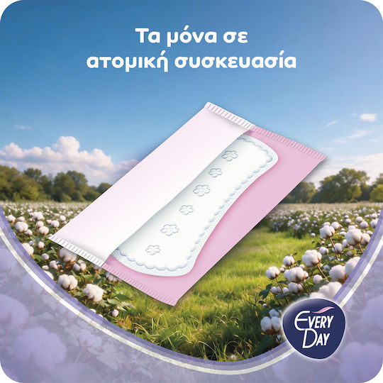 Every Day All Cotton Large Daily Liners 30pcs