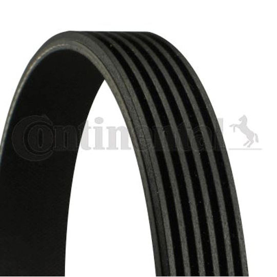 Contitech 6 Pk 1010 Multi-rib Belt