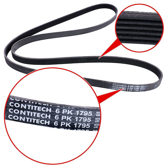 Contitech 6 Pk 1795 Multi-rib Belt