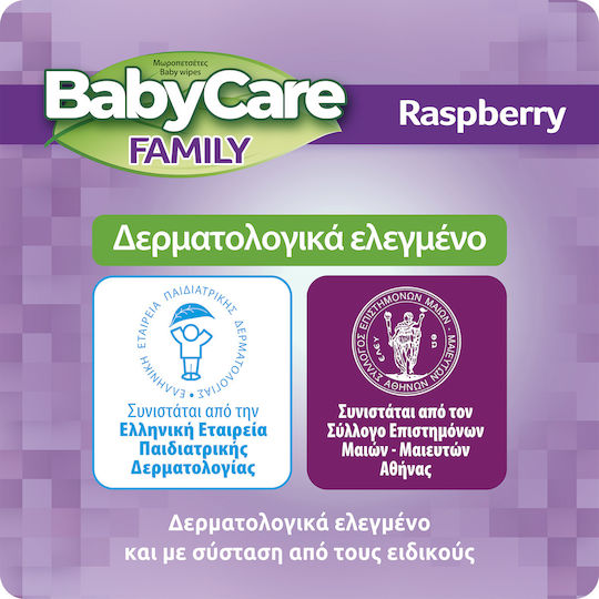 BabyCare Family Șervețele Umede Bebe Fără Alcool și Parabeni 12x90buc