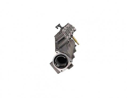 Συλλέκτης Εισαγωγής Opel Astra H 04 1.9 Cdti 55210201