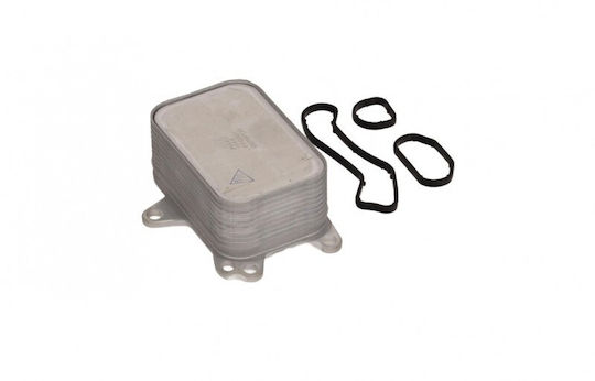Fast Car Oil Radiator for Citroen Berlingo
