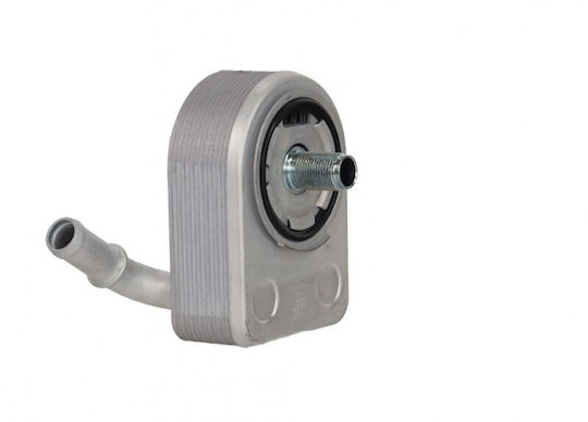 Fast Car Oil Radiator for Ford Transit Connect