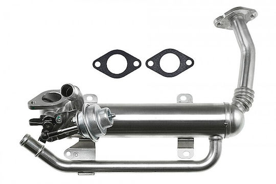 NTY Радиатор EGR за автомобил за Volkswagen Caddy / Golf Plus / Golf / Passat Audi A3