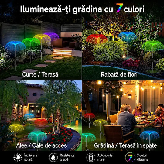 Smart Set 5 Lampi Solare RGB Cu Senzor De Mișcare