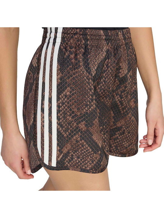 Women's Brown Shorts