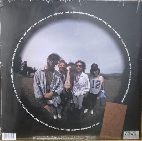 Ragged Glory Vinyl
