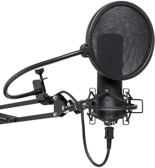 Stagg SUM45 Set USB Microphone Shock Mounted for Vocals