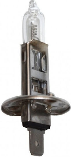 Magneti Marelli Car and Motorcycle Lamp H1 24V