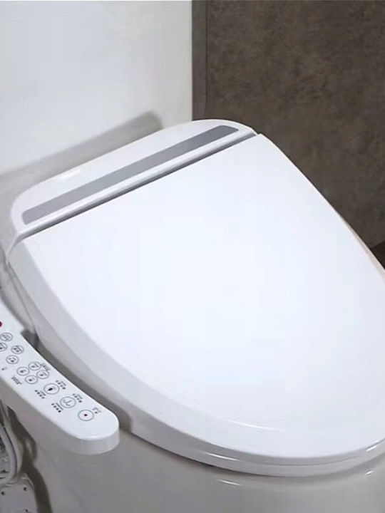 Zola Toilet Seat with Bidet Plastic White
