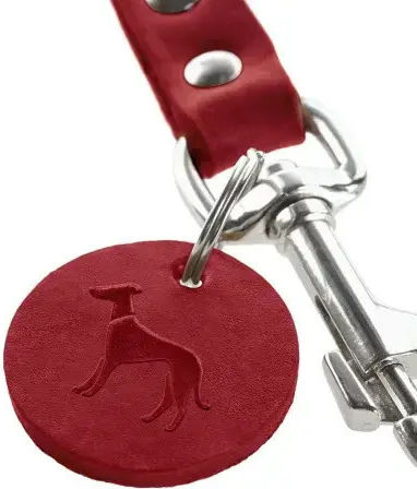 Hunter Leather Dog Training Leash/Lead