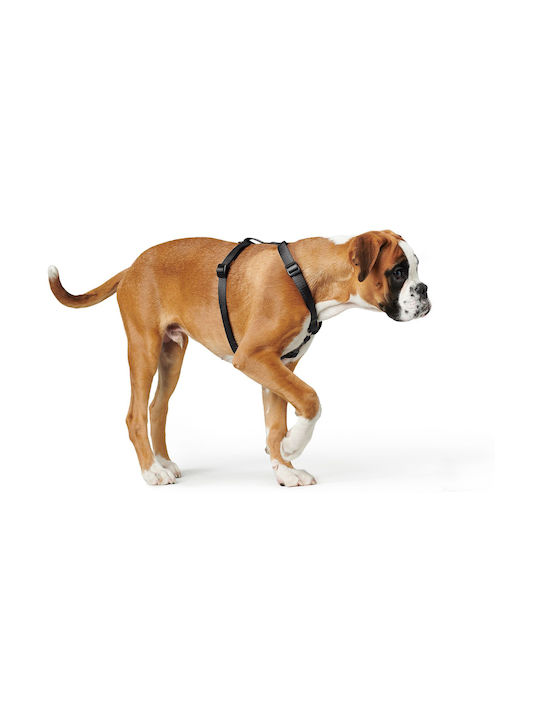 Hunter Ecco Sport Vario Rapid S-m Adjustable Dog Harness
