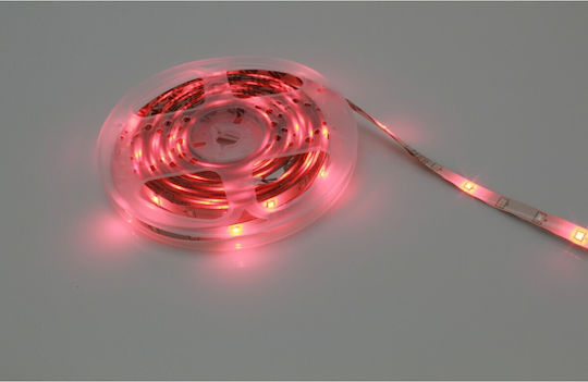 Waterproof LED Strip 300 Smd 12V 5m Type SMD3528 with Power Supply & Remote Control