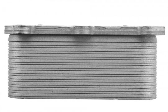 Radiator Ulei Motor Mercedes-Benz C-Class 2013-0 2.0l Sedan Mercedes-Benz C-Class Convertible 2016-0 2.0l Convertible Mercedes-Benz C-Class Coupe 2015-0 2.0l Coupe
