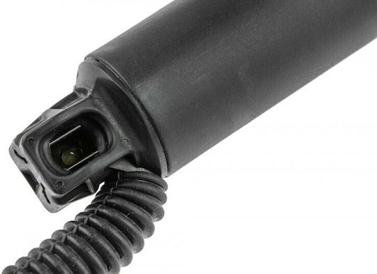 Gas Trunk Shock Luggage Compartment Bmw X6 2014-2019 2.0l Suv Bmw X6 2014-2019 4.4l Suv Bmw X6 2014-2019 3.0l Suv