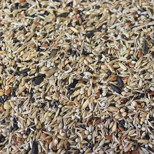 Ornitalia Greg Cardellini – Τροφή Καρδερίνες Φανέτα Negriti Tristis 5kg