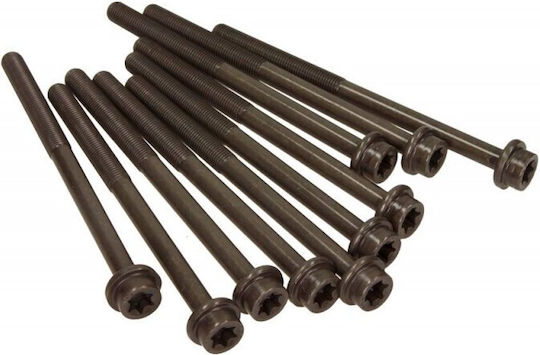 Victor Reinz Screw Car for Ford Mondeo