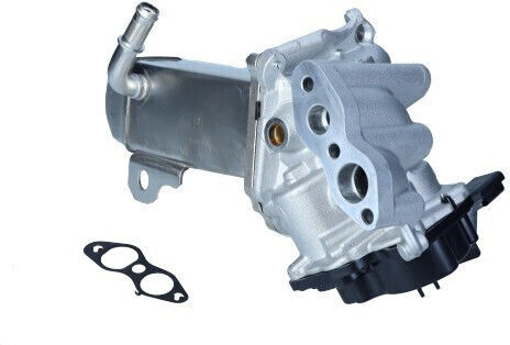 Pierburg Egr Valve