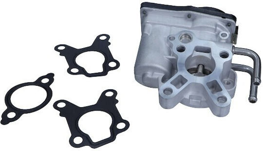 Magneti Marelli AGR-Ventil Auto Engine Ventile