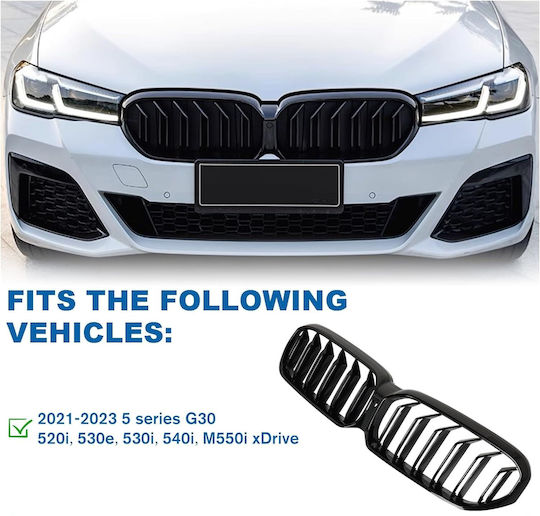 Dekorative Auto Maske BMW Serie 5 (G30) / G30
