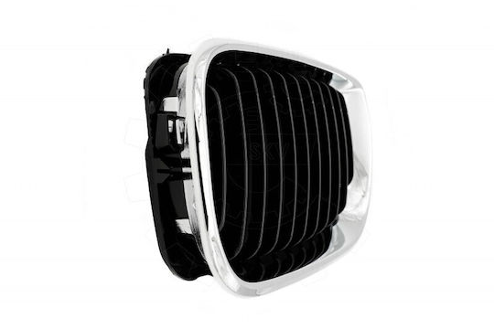 Dekorative Auto Maske BMW E46