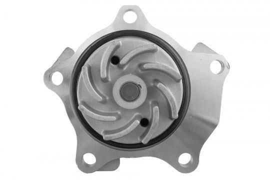 Water Pump Ford Escort V 1990-1996 2.0l Hatchback Ford Escort VI 1995-2002 2.0l Hatchback Ford Galaxy I 1995-2006 2.3l MPV