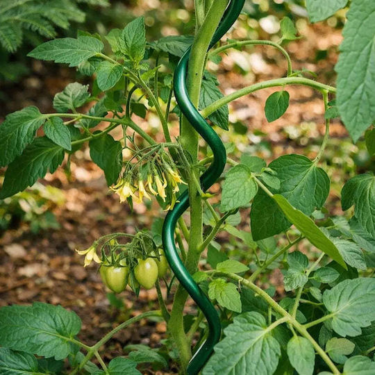 Spirală Oțel Suport Plantă Rossima Sr-11-120
