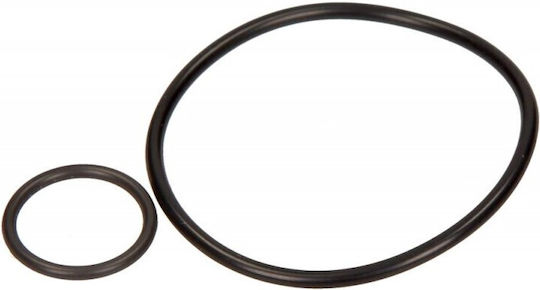 Vacuum Pump Gasket Oe Peugeot