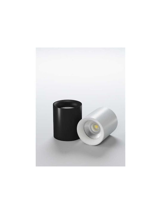 Jiju Spot Încastrat Cu LED Încorporat Și Lumină Alb Natural Alb 8x8cm