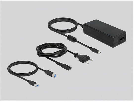 DeLock Hub 16 Θυρών με σύνδεση USB-A Γκρι