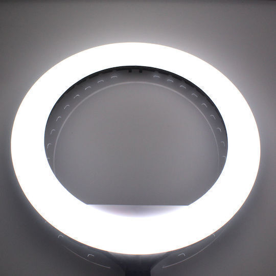 Ring Light 36cm with Floor Tripod and Mobile Phone Holder