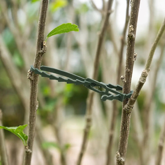 Set 100 Legături pentru Plante Zola Reutilizabile Reglabile Suport de Legare Rezistent la Vreme 23 Cm