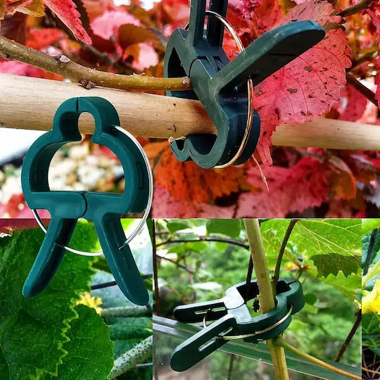 Set 20 Clips De Legat Plante Zola Roșii Ardei Castraveți Reutilizabile Rezistente La Intemperii 4.5 X 3 Cm