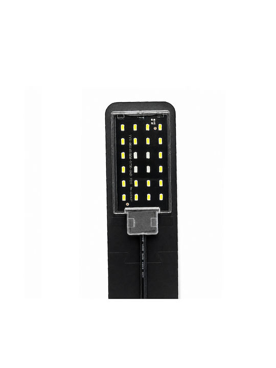 Zola Dekorative Tischlampe LED 7000K