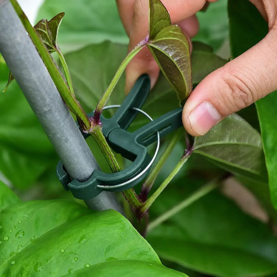 Set 20 Clips De Legat Plante Zola Roșii Ardei Castraveți Reutilizabile Rezistente La Intemperii 4.5 X 3 Cm