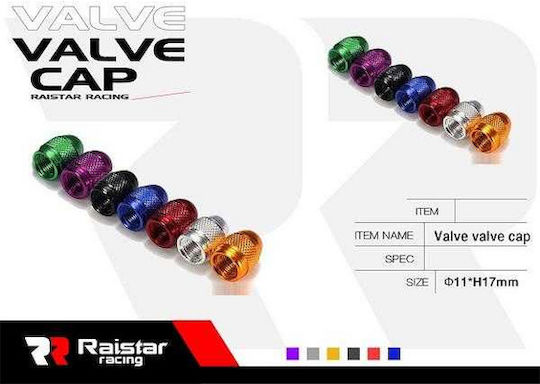 Raistar Capace de Valvă pentru Anvelope Auto Argintiu 4buc