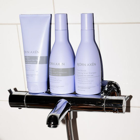 Björn Axén Haarmaske Für Farbschutz 200ml