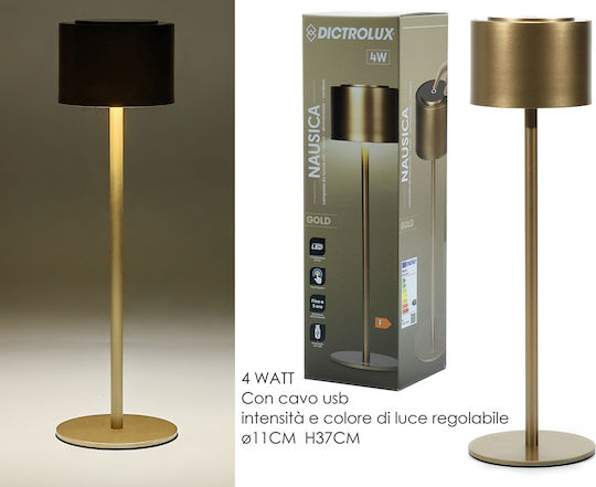 DictroLux Dekorative Lampe Gold