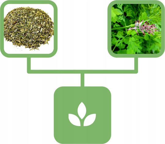 Fume Herb 1 Kg Natural Shop