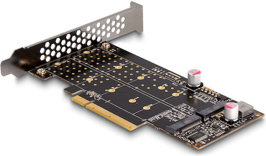 Delock Pci Express To 2 X Nvme M.2 Key M Bifurcation Lpff Delock 89837