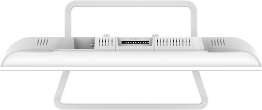 Sencor Smart Τηλεόραση 24" HD Ready LED SLE 24S841MBW HDR (2024)