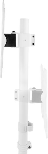 Maclean Energy MC-181 W Βάση Τηλεόρασης Δαπέδου έως 55" και 60kg Λευκό