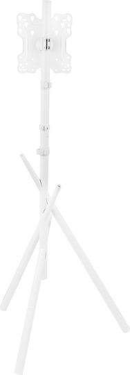 Maclean Energy MC-181 W Βάση Τηλεόρασης Δαπέδου έως 55" και 60kg Λευκό