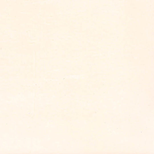 Venetian Plaster Stucco Veneziano 02
