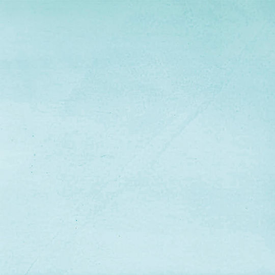 Venetian Plaster Stucco Veneziano 01