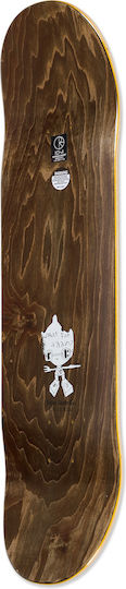 Polar Σανίδα Shortboard Καφέ